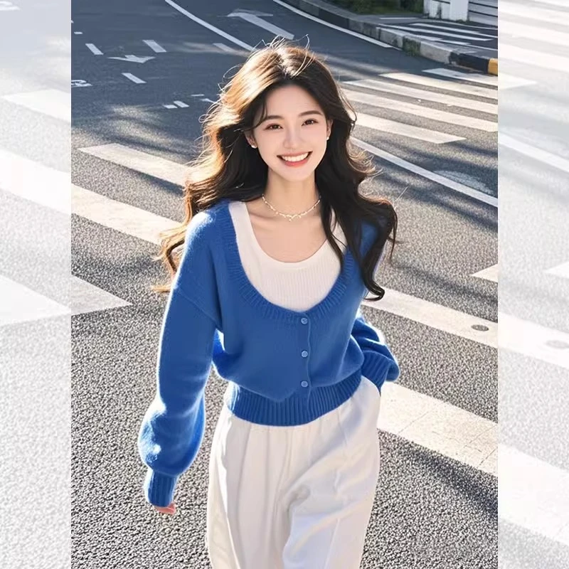 洋气减龄上衣蓝色假两件针织衫女2025秋季新款今年流行的漂亮小衫
