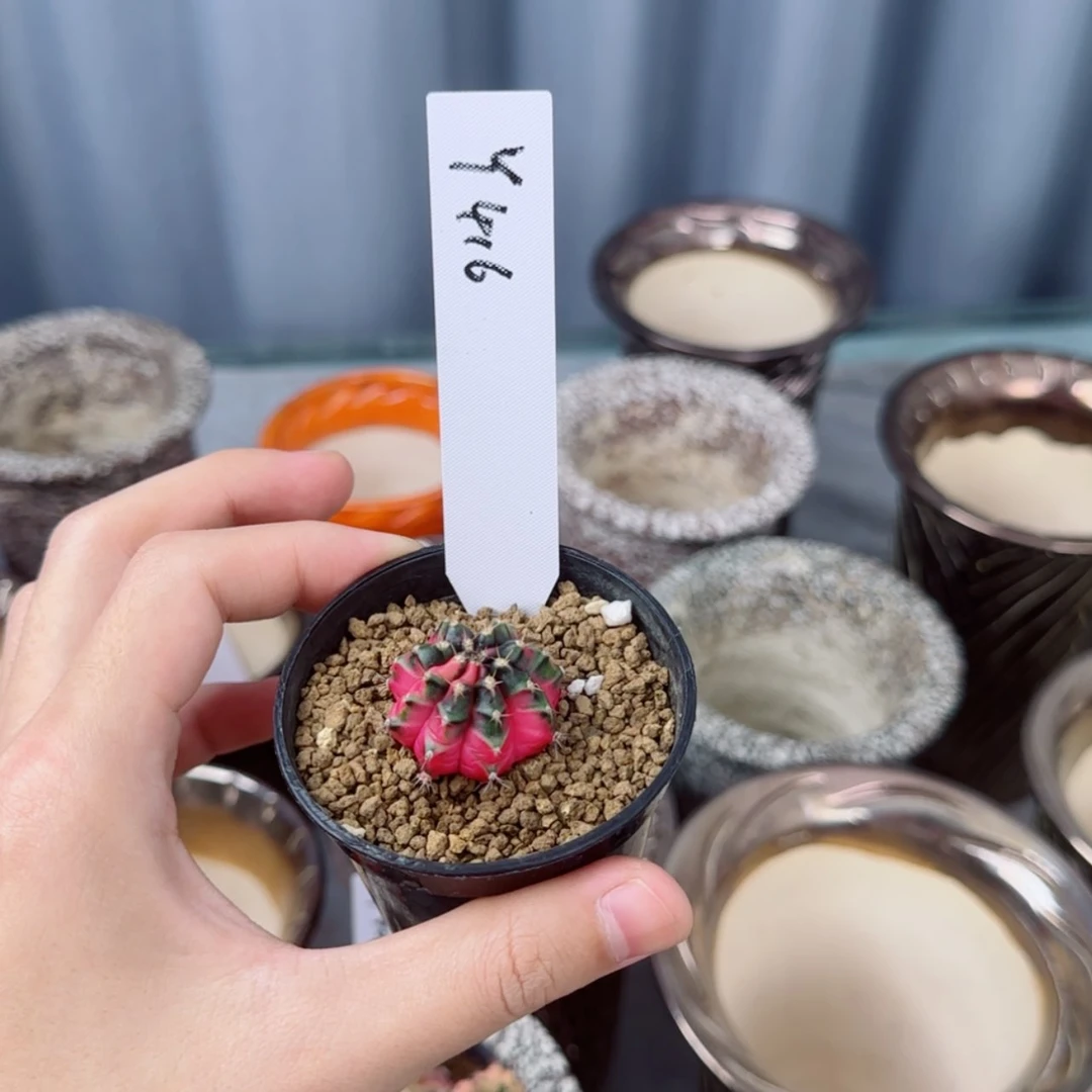 【闪购商品】建****梯416/0725