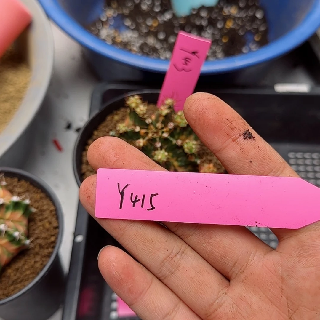 【闪购商品】钱****415-0902十级福利