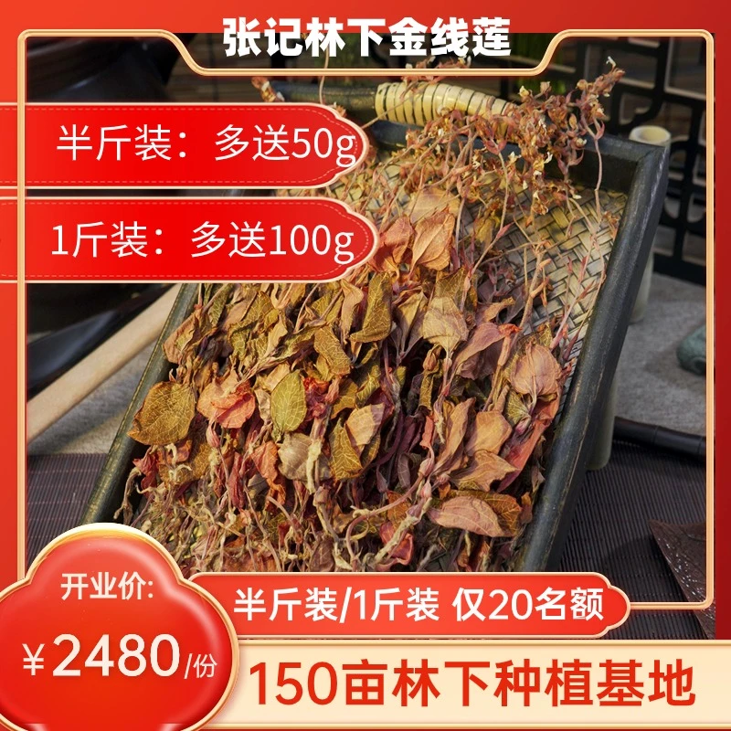 【顺丰包邮】福建深山林下金线莲整株开花带根种植2年6月古法烘干