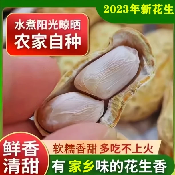 23年广东河源忠信水煮咸干精选味道晒干花生开袋即食好吃美味下酒