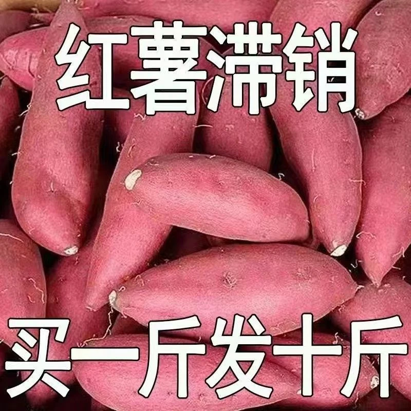 【抢购中】超甜沙地红薯新鲜红黄心蜜薯烤蒸地瓜1-9斤番薯蔬菜水果*