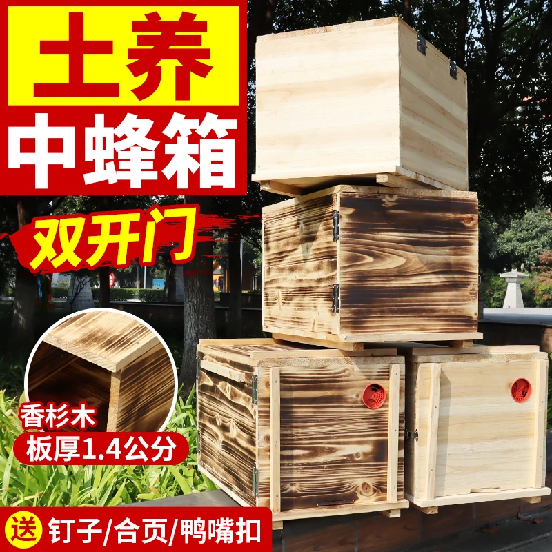 广式沉盖箱中蜂箱诱蜂箱开门土养箱全杉木碳化专用养蜂工具蜂桶