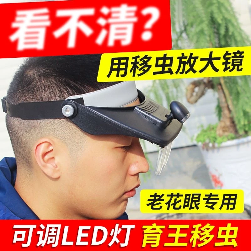 头戴式移虫放大镜蜜蜂育王工具中蜂蜂王移虫专用头灯老花镜显微镜
