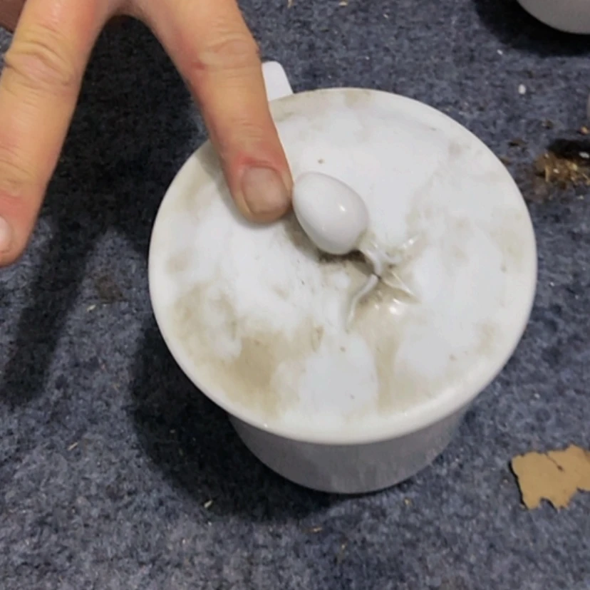 【闪购商品】陶瓷杯武*一