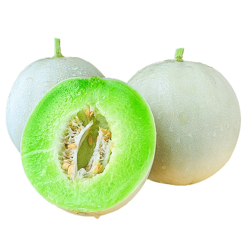 【点关注！】玉菇甜瓜一枚