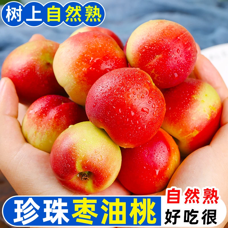 【御品一园】珍珠枣油桃蜜枣桃子新鲜当季水果孕妇袖珍油桃超甜批发