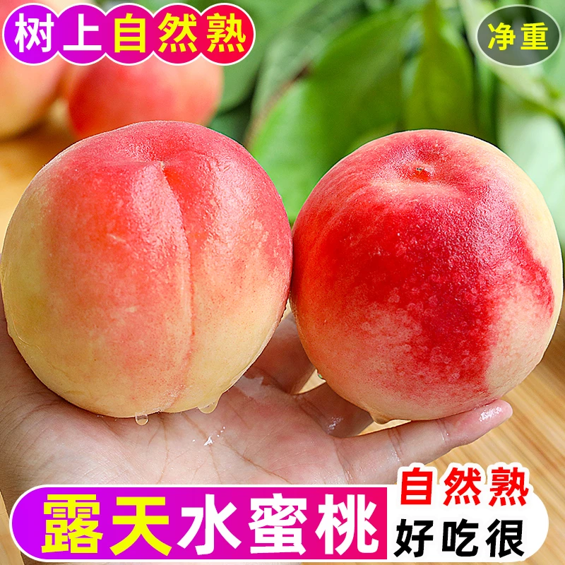 【御品一园】山西运城水蜜桃脆甜当季新鲜水果现摘毛桃子脆甜多汁