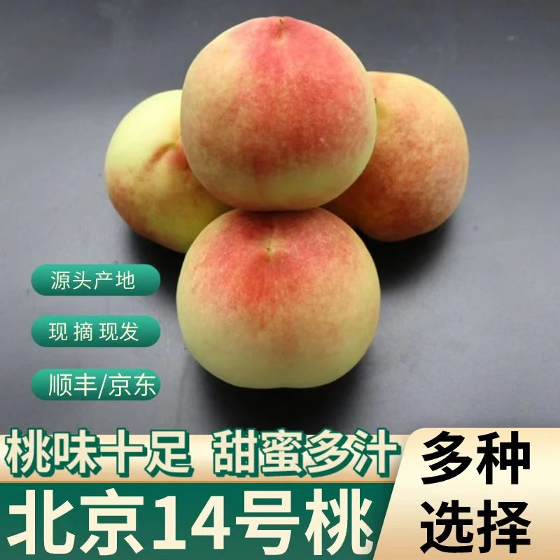 元和桃 北京14号 离核脆桃4.5~5斤装 8枚