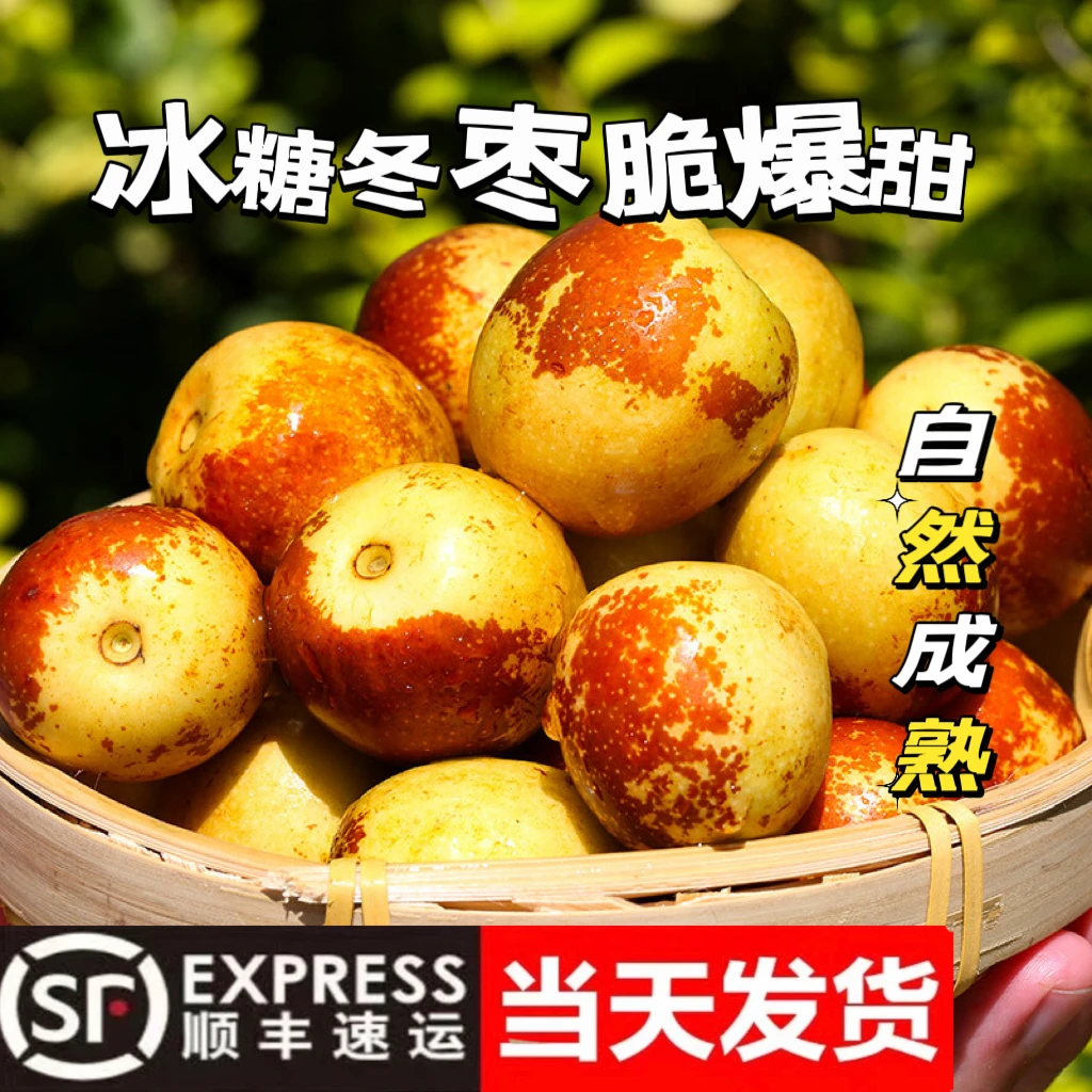 【顺丰包邮】天津大港冬枣  酥、脆、甜   露天种植  自然成熟