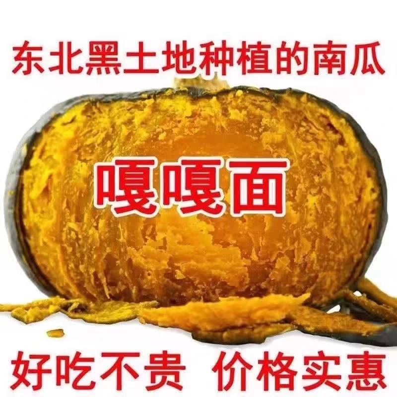 东北黑龙江大地窝瓜黑土地种植4.5-5斤（1个-3个)