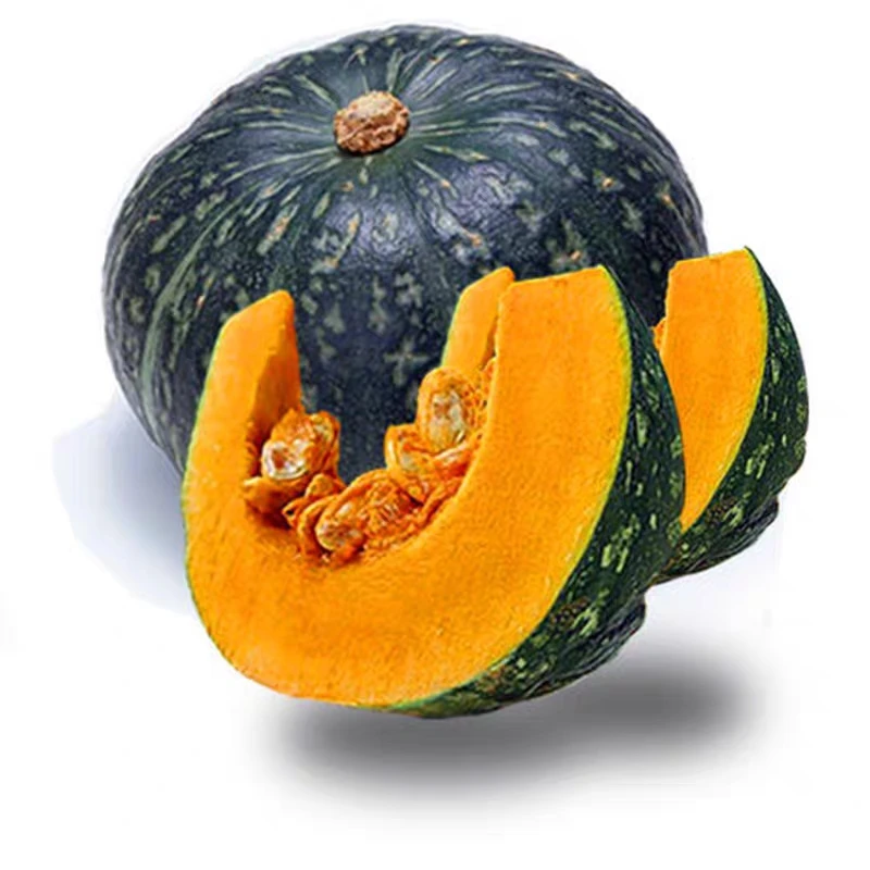 东北黑龙江大地窝瓜黑土地种植