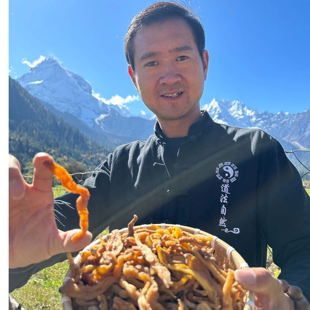 【木白】西藏高海拔下山货玉竹干