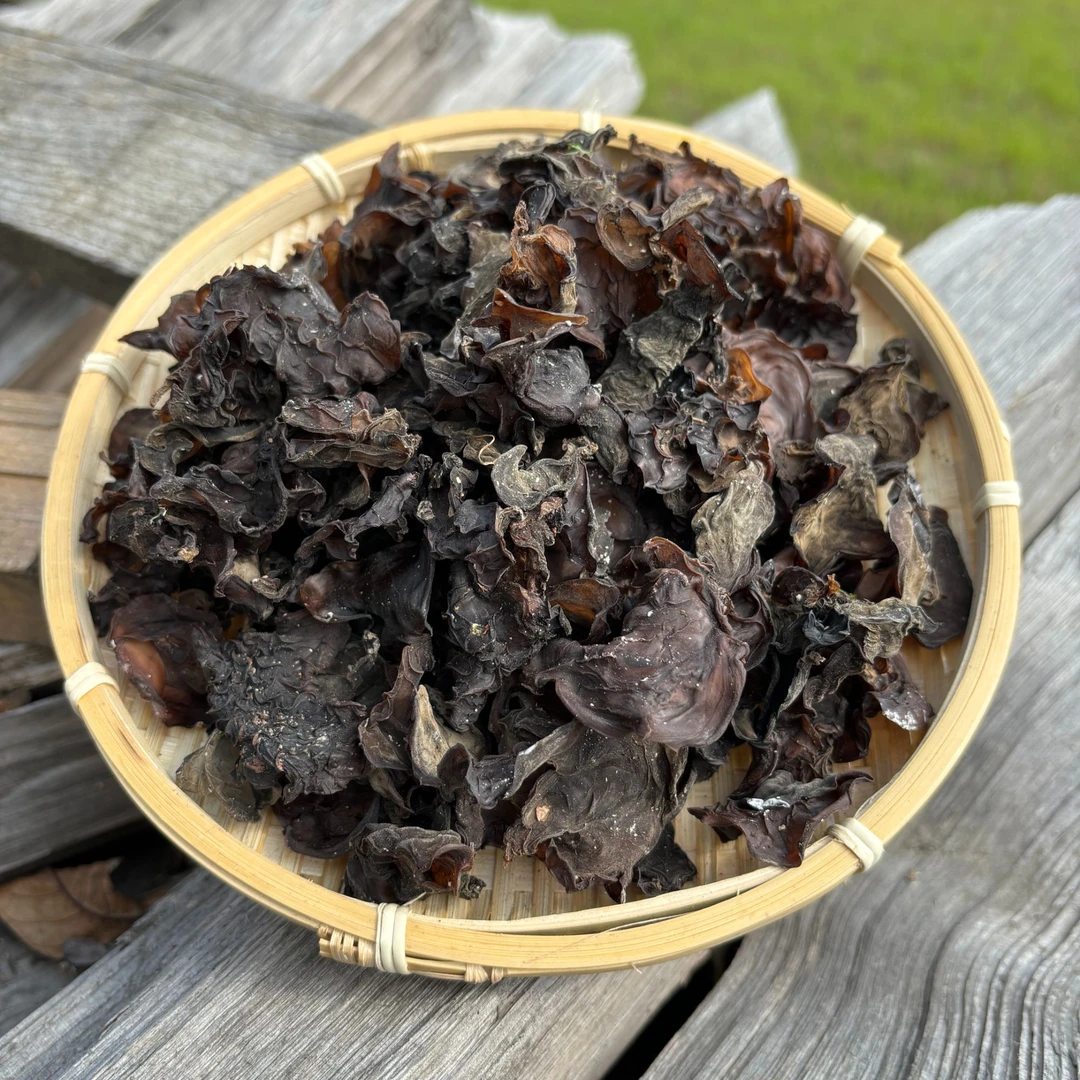 【木白】西藏西洋参波密高海拔特产黑木耳