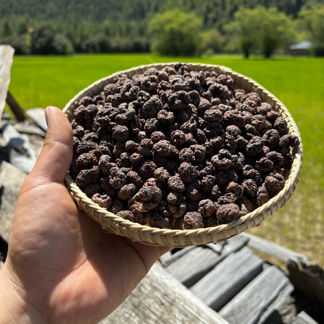 【木白】西藏高海拔地区下山货竹红菌500g包邮