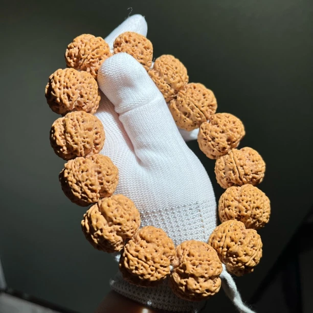 25mm高货精品巨肉梅花豆腐块平头平尾粗筋梁大金刚菩提文玩手串