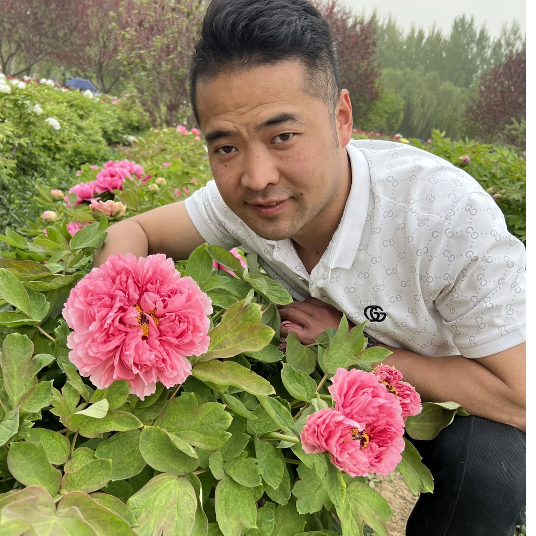 【菏泽牡丹园】春红娇艳红色系精品牡丹对版发货  根据天气陆续发货