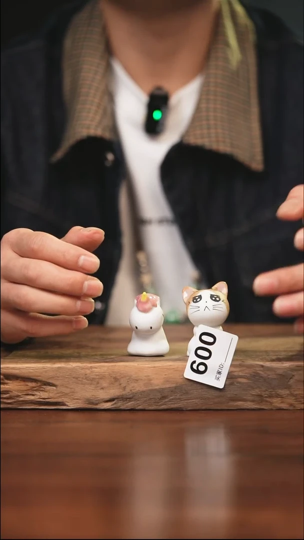 【闪购商品】陶瓷其他600