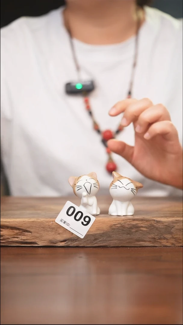 【闪购商品】陶瓷其他009