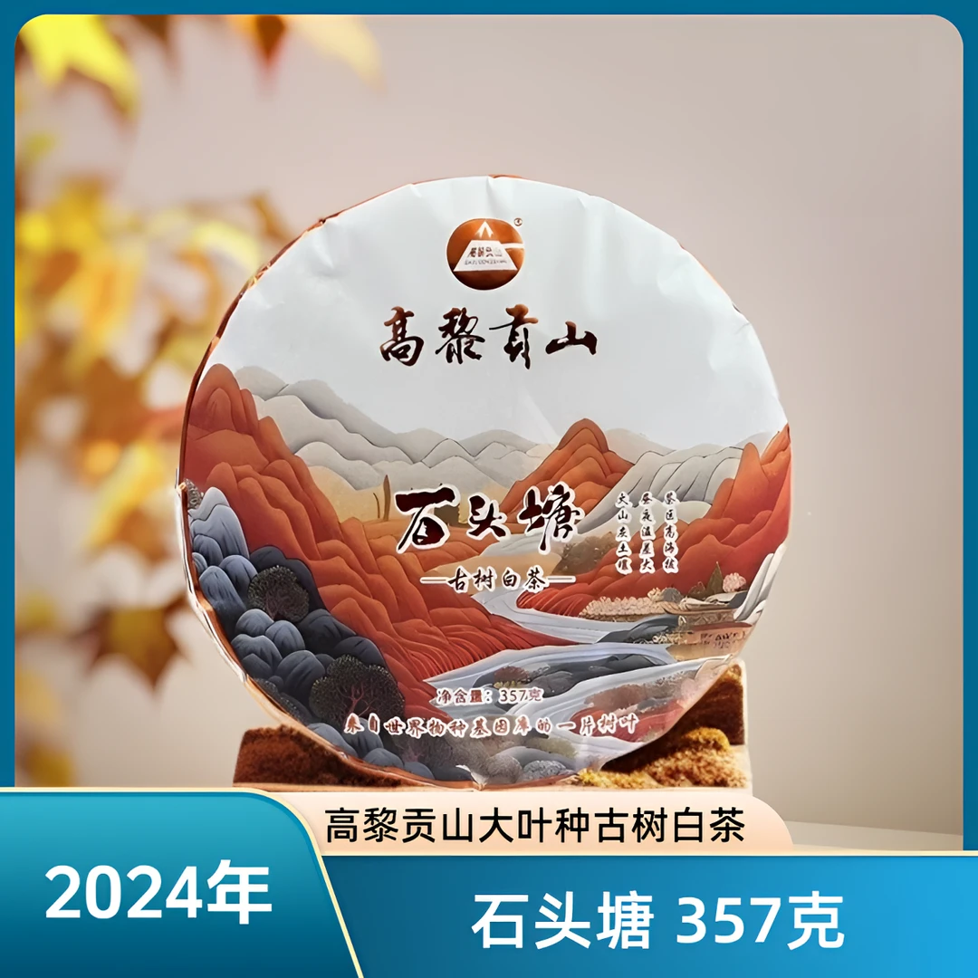 高黎贡山 2024年云南大叶种古树白茶石头塘 357克饼茶