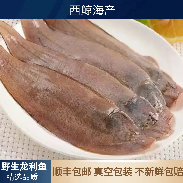 【龙利鱼5-7】深海龙利鱼 龙利香煎舌头鱼牛舌鱼 鲜活速冻 顺丰包邮