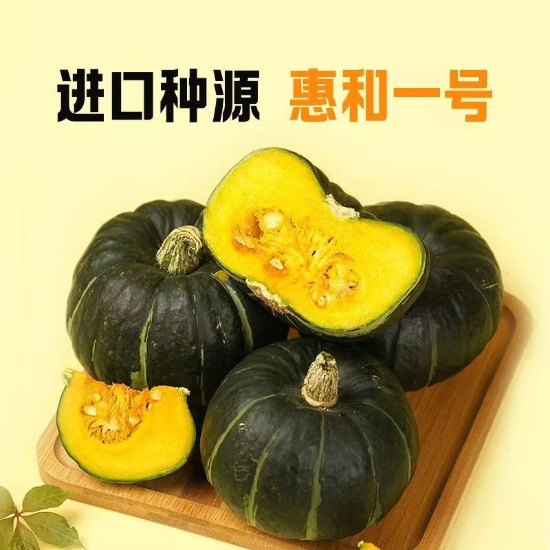 惠和一号贝贝南瓜4.5斤装香甜细腻 坏果包赔