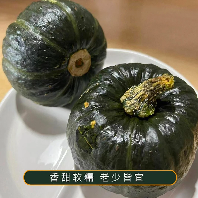 贝贝南瓜新鲜板栗味,粉糯香甜原产地健康进口自然种植好吃口感