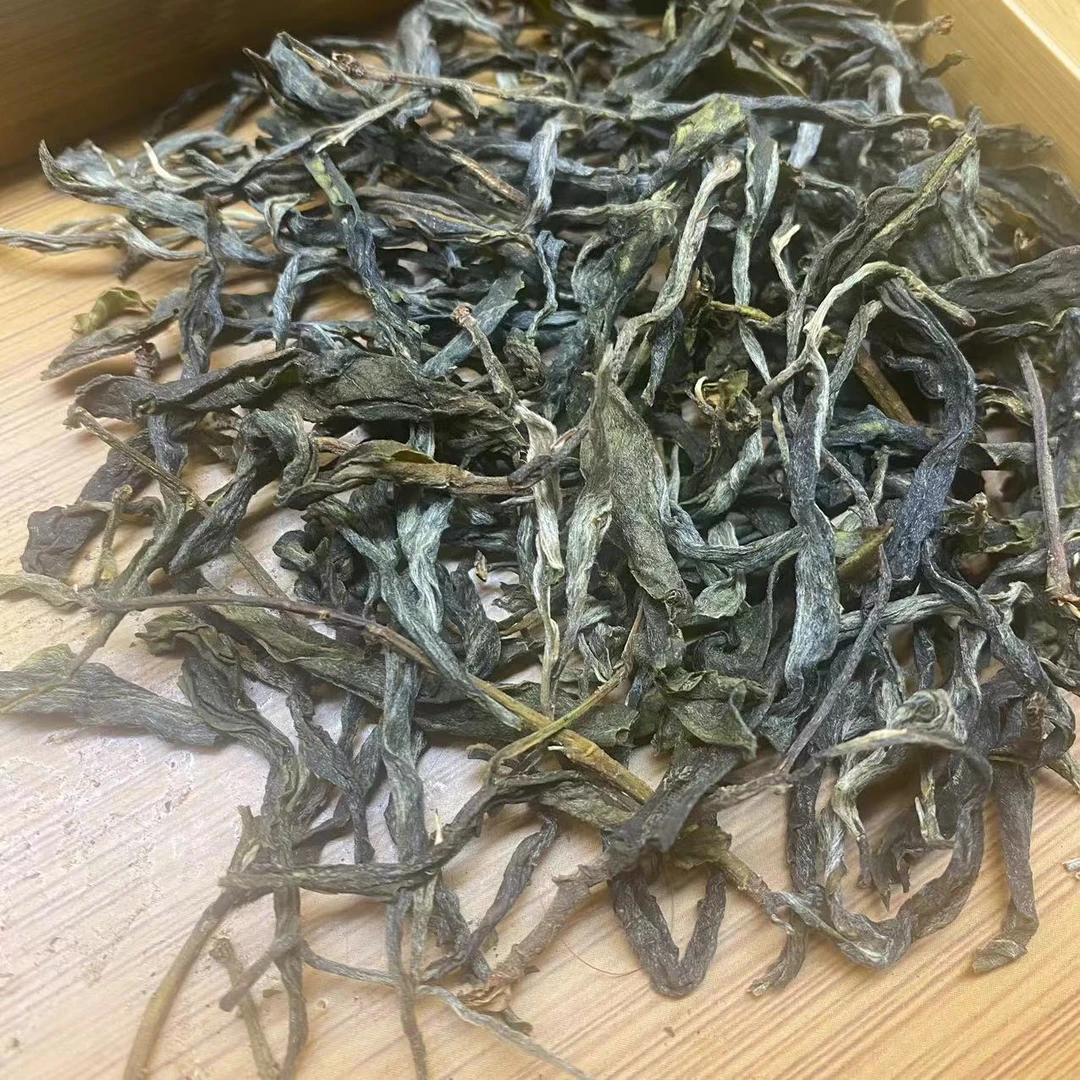 梅子箐2024古树头春头采