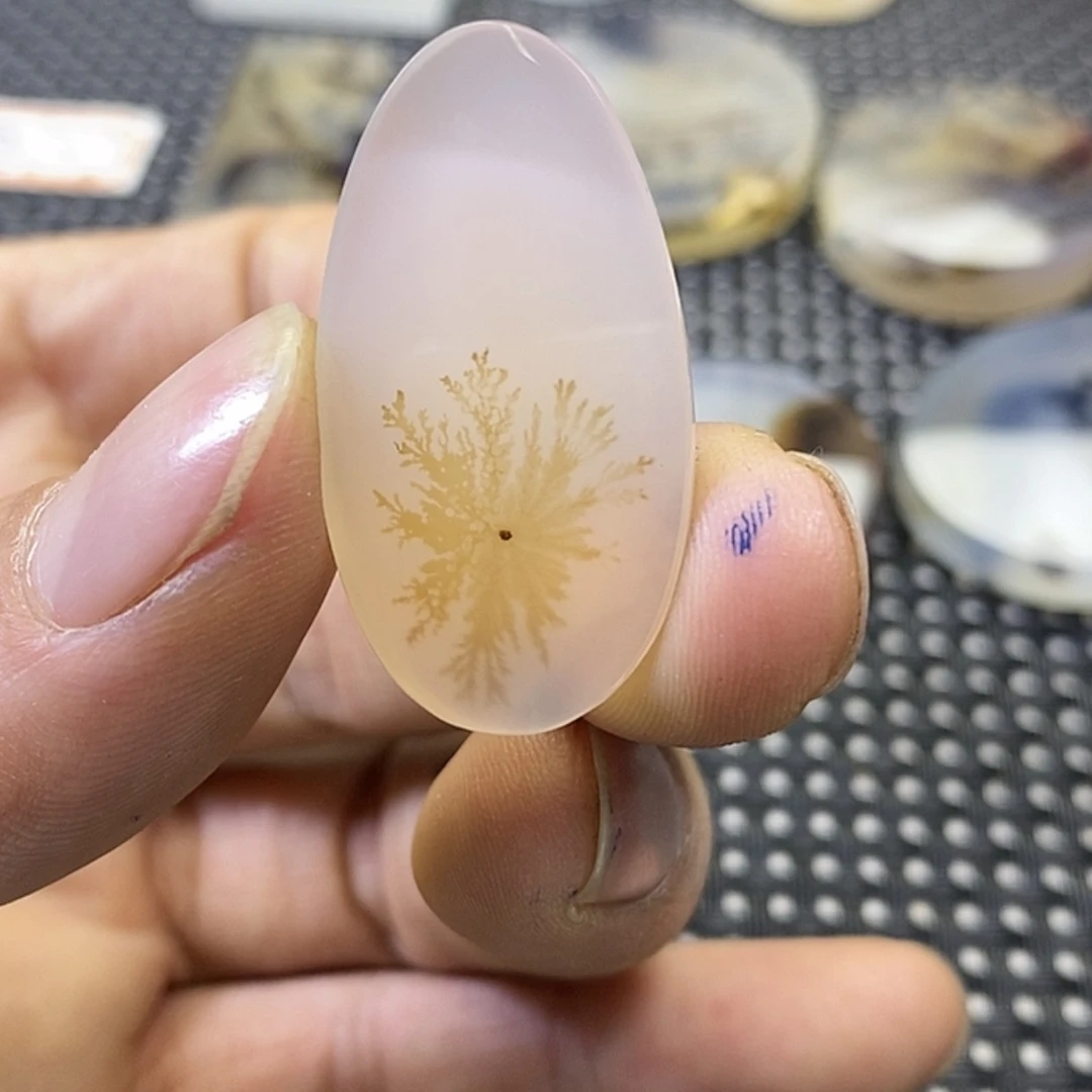 【闪购商品】玛瑙/玉髓珠宝奇石未镶嵌P****X