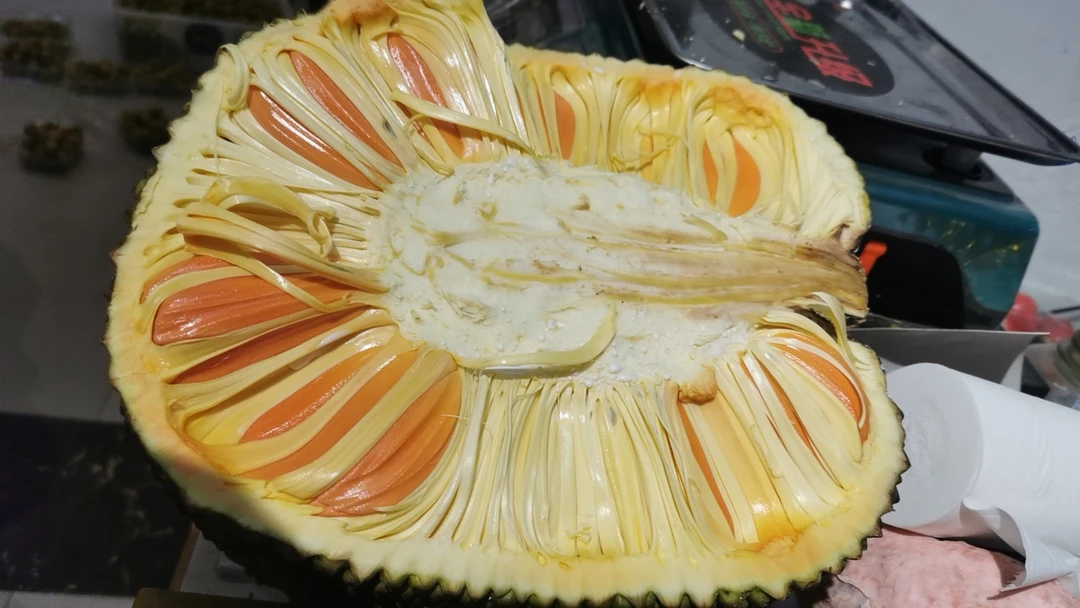 （全场满48免费配送）越南红肉菠萝蜜