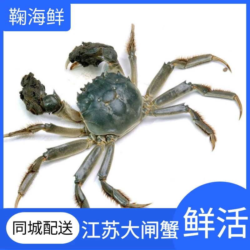 大闸蟹2.5（母蟹）【2.2-2.6两/只】