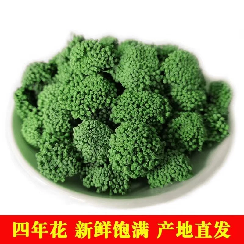 新花云南文山三七新花正宗4年正品田七花