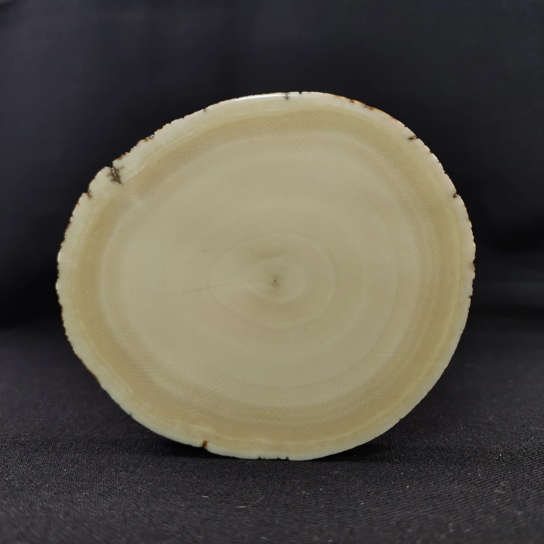 N10904 只做天然猛犸牙 牙饼 长87X宽76X厚11mm