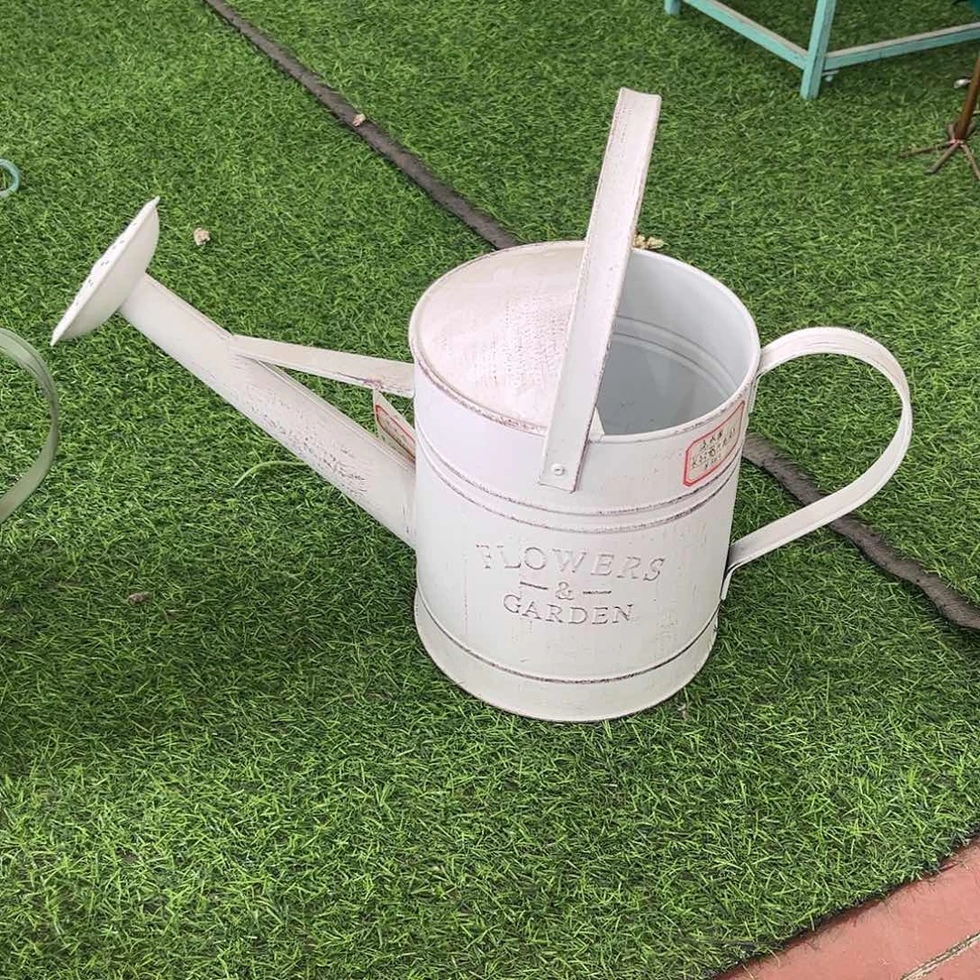 红陶20CM（含）-50CM（不含）