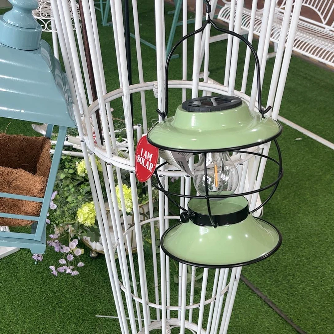 红陶20CM（含）-50CM（不含）