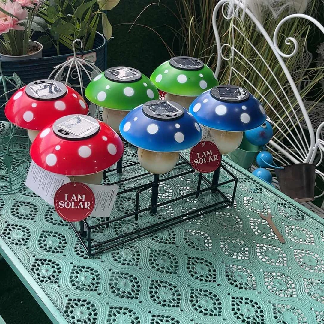 红陶20CM(含)-50CM(不含)