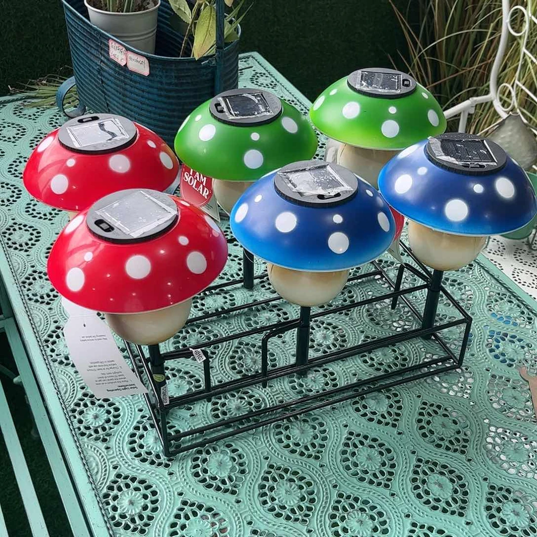 红陶20CM（含）-50CM（不含）