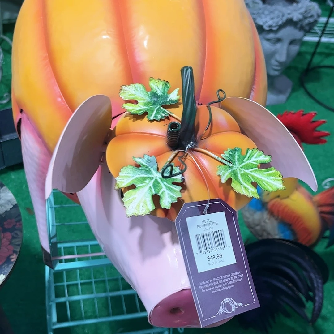 红陶20CM（含）-50CM（不含）