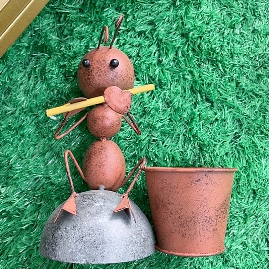 红陶20CM（含）-50CM（不含）