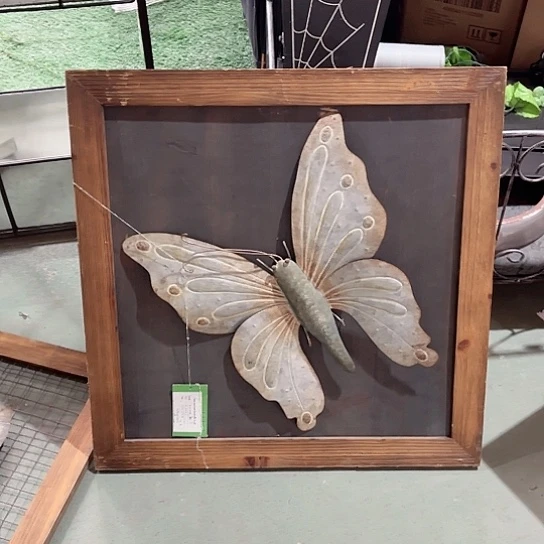 红陶20CM（含）-50CM（不含）