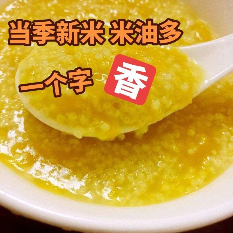 当季沂蒙农家新黄小米软糯香甜新鲜营养小米