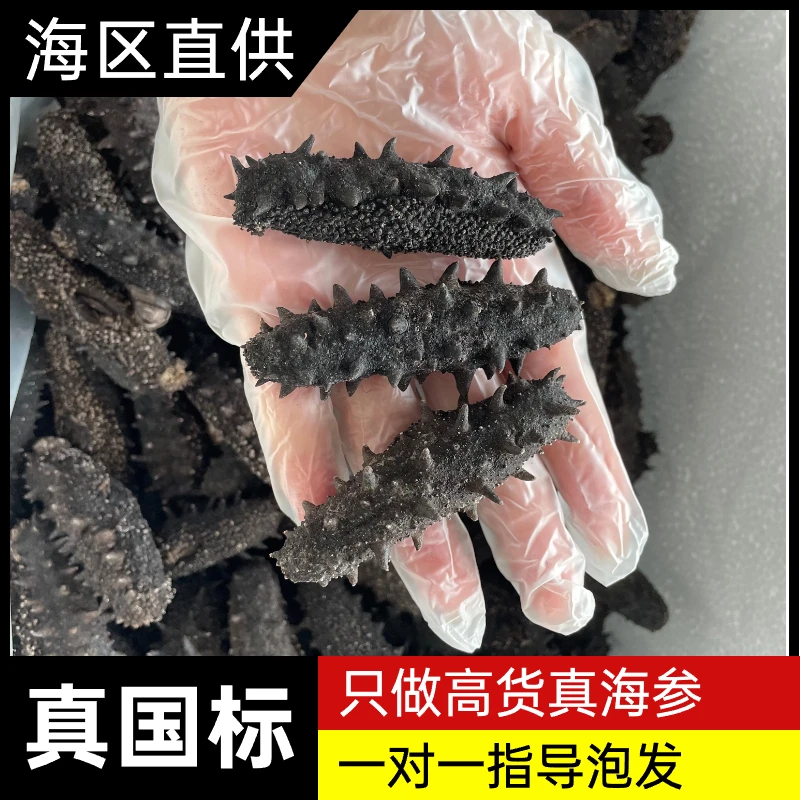 【保价年货节】105头左右新品真国标高货干海参干货