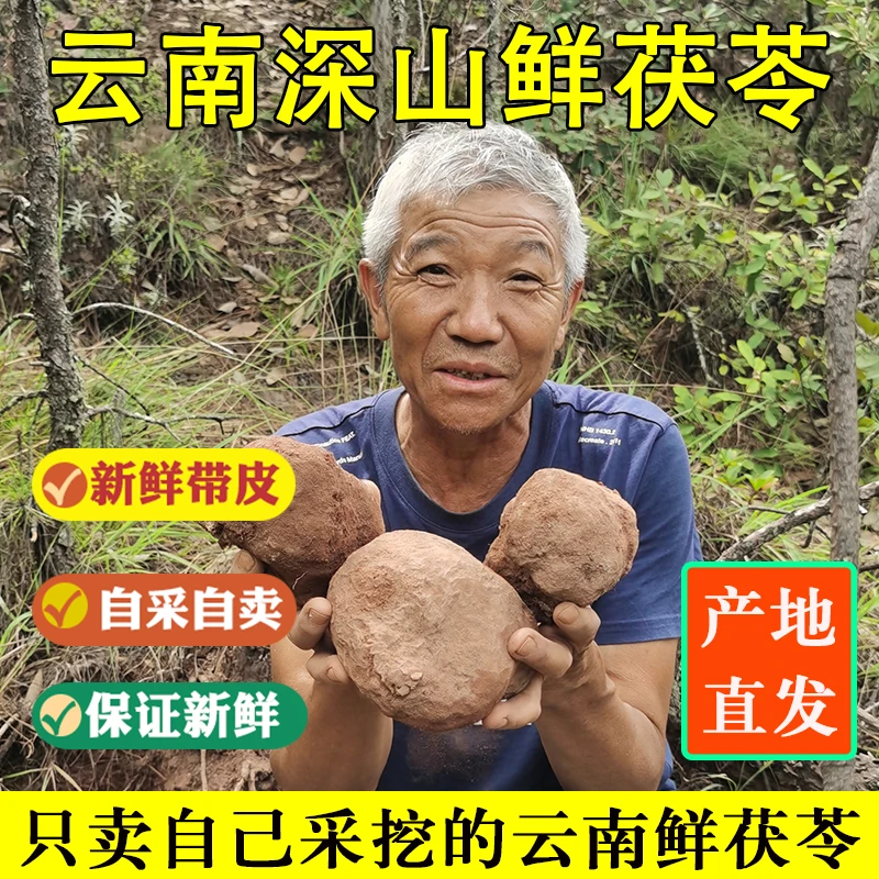 【新鲜带皮茯苓】云南深山新鲜茯苓10斤茯苓整个煮粥泡水喝1斤包邮