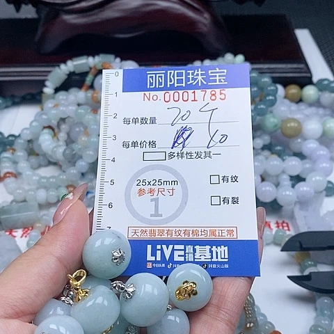 翡翠颈饰未镶嵌珠子
