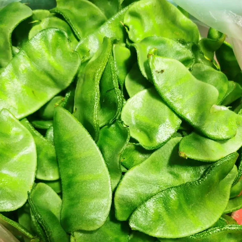 绿眉豆种子简单特早熟肉厚绿眉豆传统农家扁豆角籽春季播蔬菜种孑