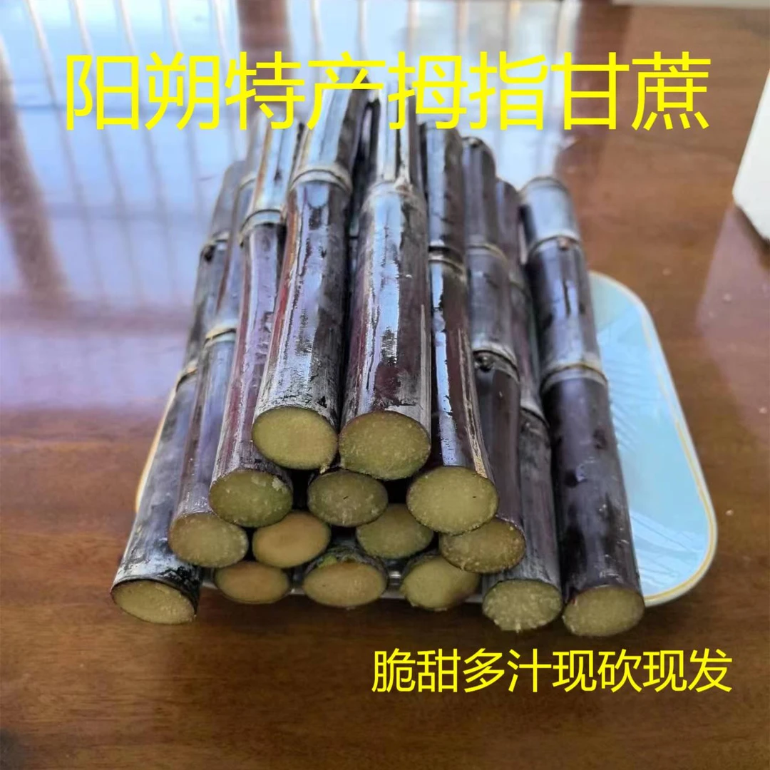 (施阳)阳朔福利镇特产黑皮水果甘蔗5斤