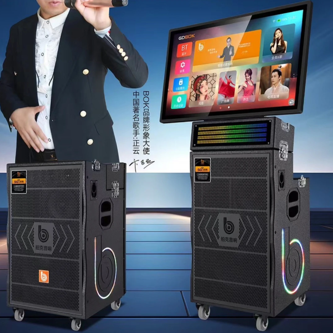 德国BOK4000W大功率重低音声卡直播移动KTV，蓝牙，真分集话筒唱歌
