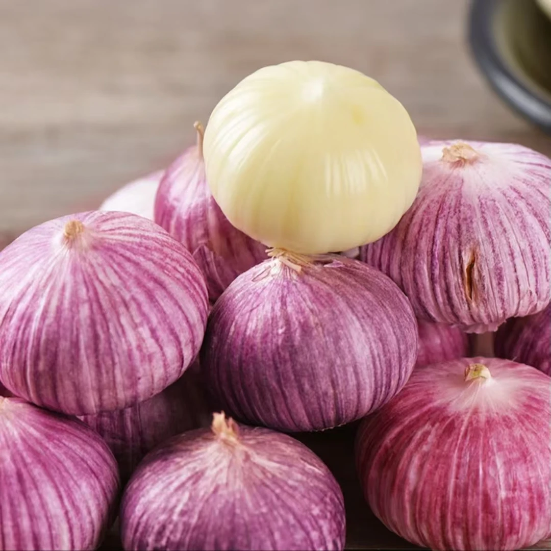 农家圆头蒜种子大蒜蒜台四季种植阳台盆栽地栽 包邮