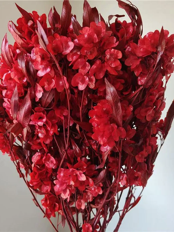 迎客豆干花永生花蝴蝶花新年装饰摆件喜庆居家婚庆永生花摆件