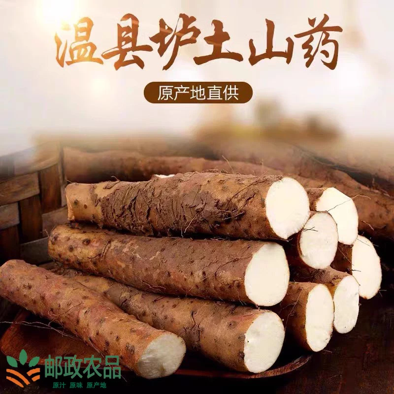 【邮政专供】新鲜温县垆土铁棍山药邮寄版